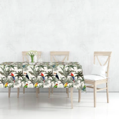 Brasilia on internet