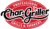 Parrilla Patio Pro 1616 | Char-Griller - comprar online