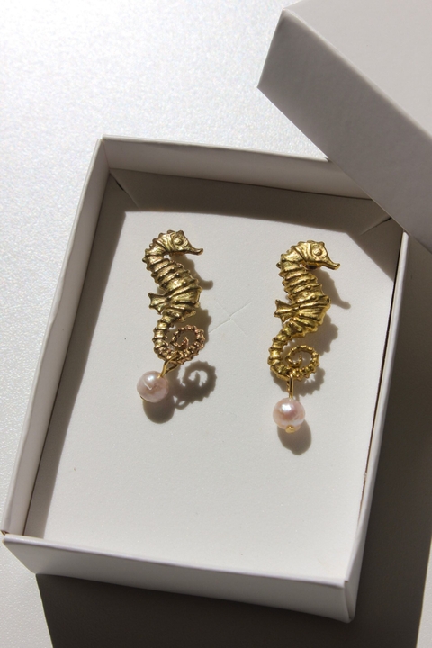 Aros Caballito de Mar