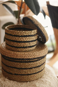 Canasto Ciro en internet