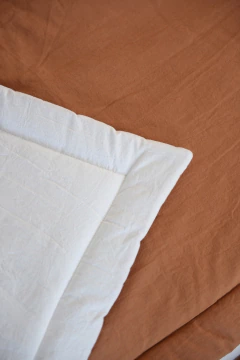 Pillow Pau en internet