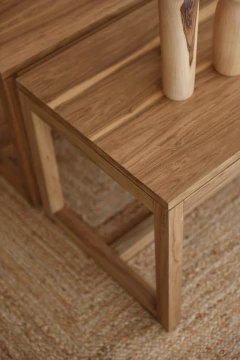 Mesa ratona Toledo en internet