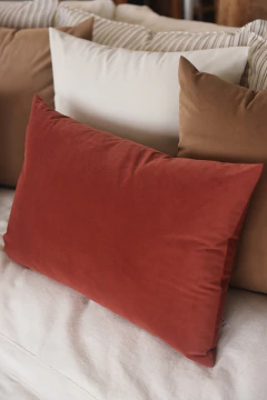 Imagen de Almohadón Terciopelo Malbec