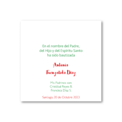 Imagen de Santitos Cuadrados Virgen de Guadalupe Verde