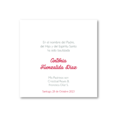 Imagen de Santitos Cuadrados Flores Rosadas con Gris