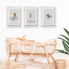 Cuadros Serie Pájaros con Flores