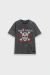 Die Toten Hosen Skull en internet