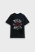 Die Toten Hosen Tour 2026 en internet
