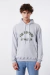 Hoodie Foo Fighters S.F Grey