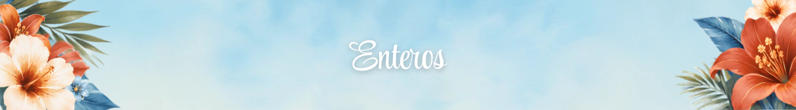 Banner de la categoría ENTEROS