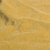 Terciopelo Amarillo Tipa