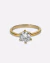 ANILLO IT'S BRITNEY, B*TCH en internet
