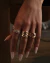 ANILLO RAMPANT en internet