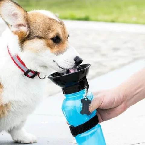Botella de agua portátil para mascotas de 500 ml para viajes o paseos en internet