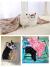 Manta suave y esponjosa de alta calidad multicolor para mascotas - PekesABC