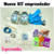 MEGA KIT EMPRENDEDOR ESCARAPELAS 2025 (detalle en descripcion) - (copia) - buy online