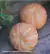 Molde Mandarina- Neia Silveira - buy online