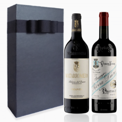 RIBERA DEL DUERO