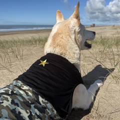 Musculosa Camuflada - comprar online