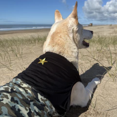 Musculosa Camuflada - comprar online