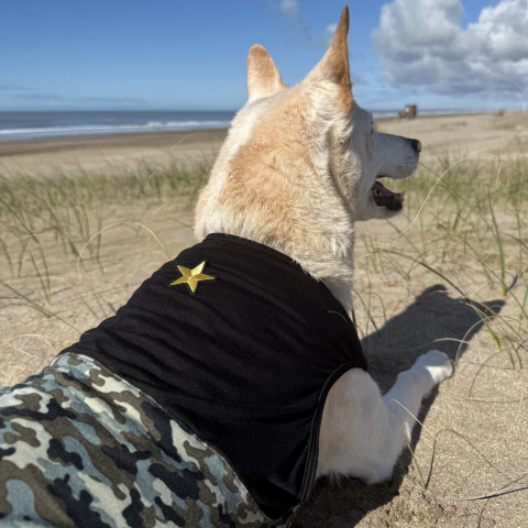 Musculosa Camuflada - comprar online