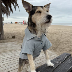 Camisa Celeste pastel - comprar online