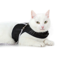 Arnes para gatos con correa en internet