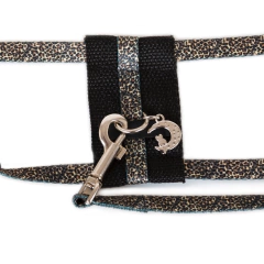 Imagen de Conjunto collar arnés para gatos extensible