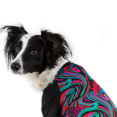 Remera Surfer en internet