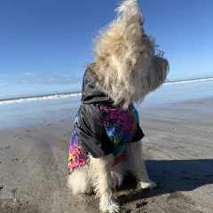 Rompeviento manchas pintura - tienda online