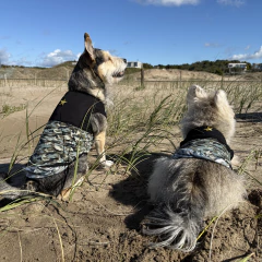 Musculosa Camuflada en internet