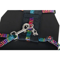 Conjunto collar arnés para gatos extensible