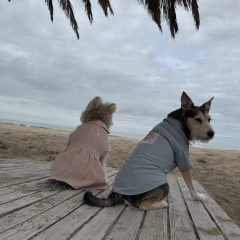 Camisa Celeste pastel - tienda online