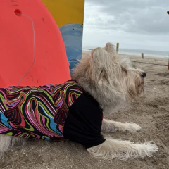 Remera Surfer - Reyes & Reinas