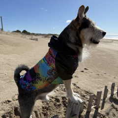 Rompeviento manchas pintura - Reyes & Reinas