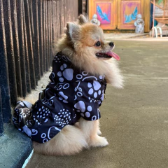 Rompevientos Huellas en internet