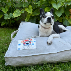 Colchón liso con parche - comprar online