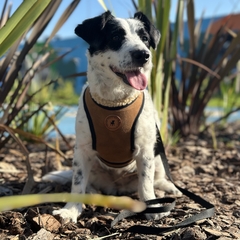 Arnes gamuza y cordero para perros