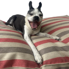 Colchón rayado tapiceria en internet