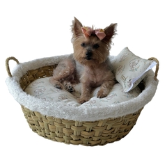 Canasto cachorro