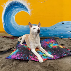 Cover Playero - Reyes & Reinas