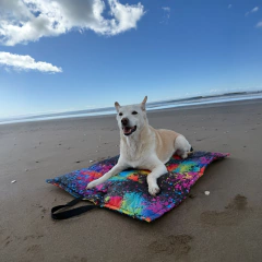 Cover Playero - comprar online