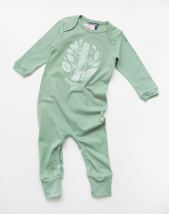 Enterito Arbol - discontinuo - Pambokids