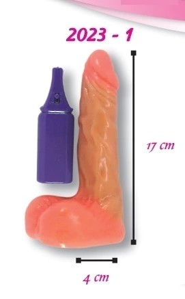 PENE VIBRADOR REALISTA 17 CM MODELO 2023-1