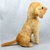 Cachorro Pelúcia Golden Sentado Retriever 32 Cm Altura - comprar online