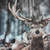Cuadro "The Deer" 120 x 80 - comprar online