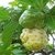 Noni + Graviola x 90 cápsulas Prodenza - comprar online