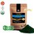 Spirulina en polvo x 50 gs Organikal