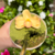 Enfeite de Chimarrão - Orquídea - Orquidário Maripá