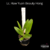 Orquidea Lc. Haw Yuan Beauty Hong planta espetacular - Tam.2 na internet